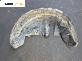 Подкалник за Suzuki SX4 Hatchback (06.2006 - 12.2013), позиция: задна, лява