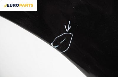 Калник за Renault Scenic II Minivan (06.2003 - 07.2010), позиция: лява